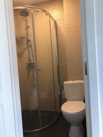 Фото номера Люкс с террасой Проживание в семье Park Apartments г. Kulautuva 5