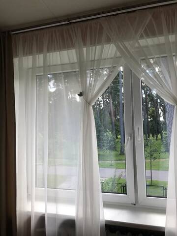 Фото номера Двухместный номер с 1 кроватью Проживание в семье Park Apartments г. Kulautuva 2
